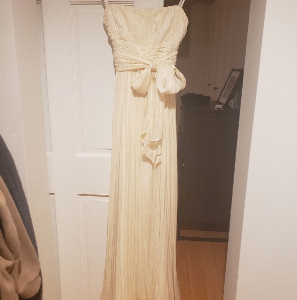 BCBG Maxi Dress